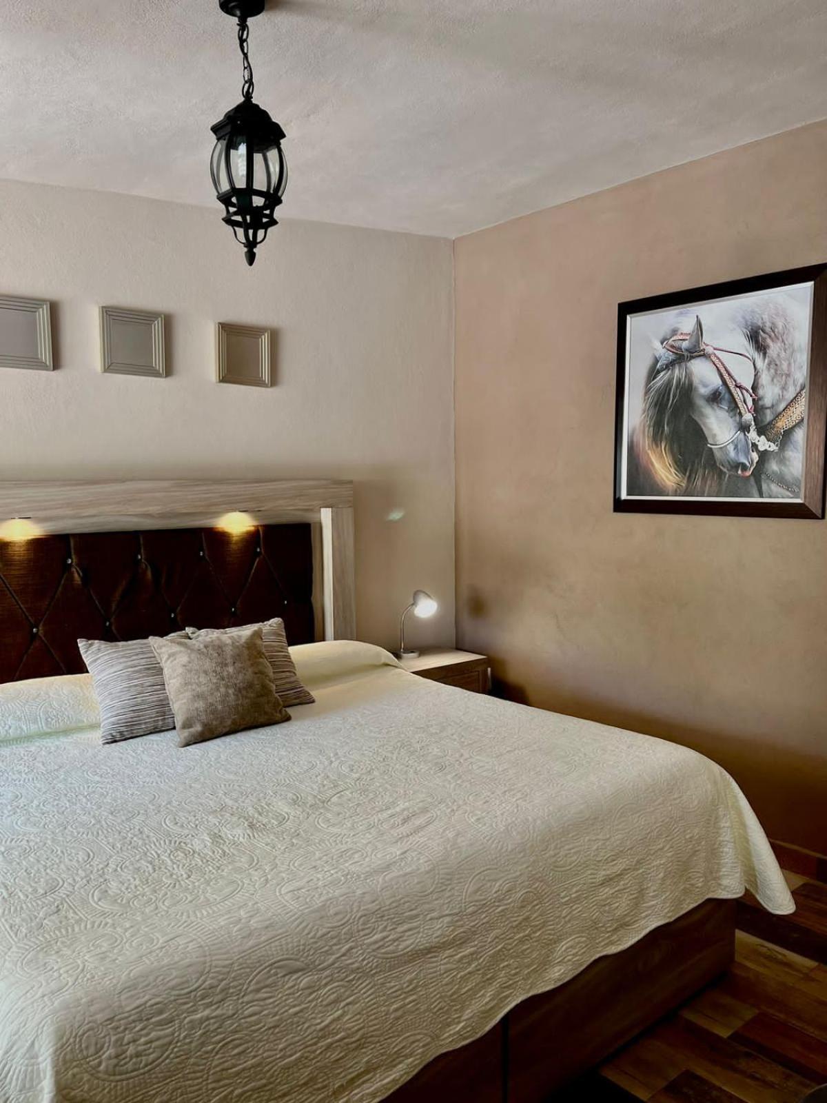 Cabanas, Suites Y Habitaciones Rancho San Jorge Bernal Eksteriør billede